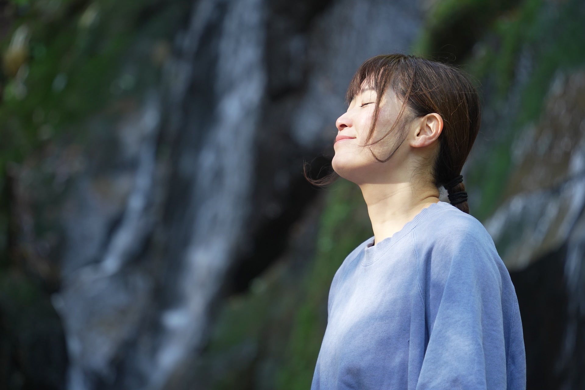 地球を旅する畳、さすらい sasurai standard使用イメージ image
